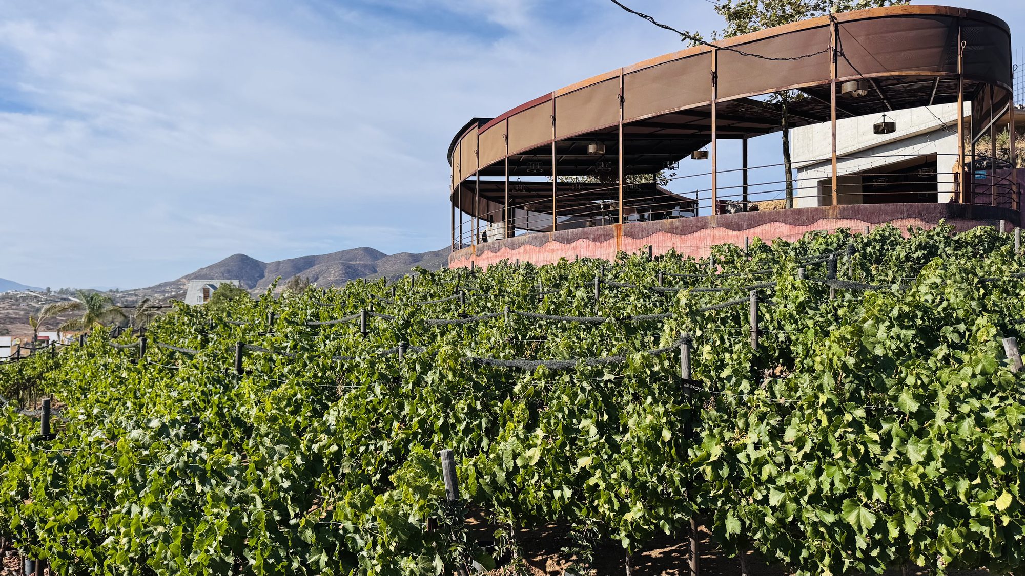 Viñedo y mirador de Macklish en Valle de Guadalupe, Baja California